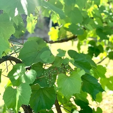 Lejlighed Lara&sara Bihać