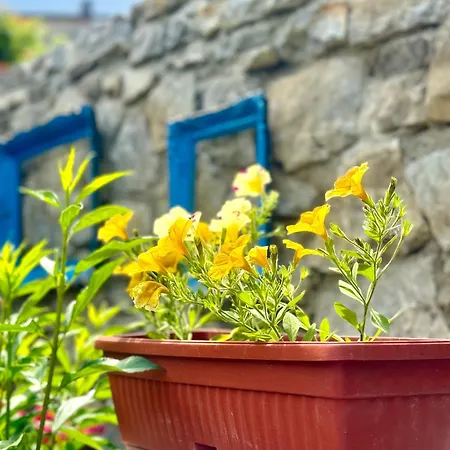 Lejlighed Lara&sara *