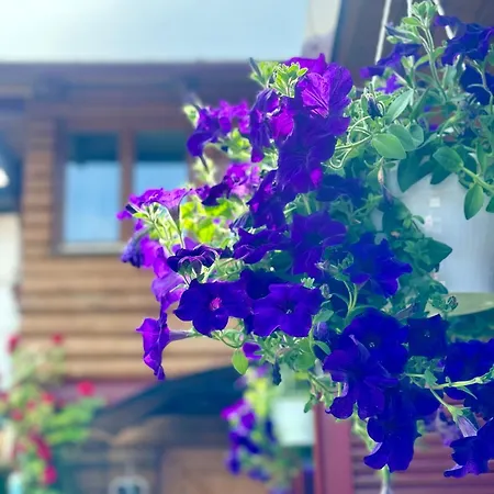 Apartman Lara&sara Bihać
