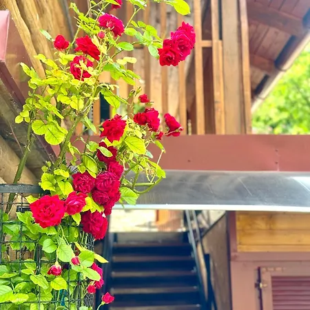 Lara&sara Apartamento *