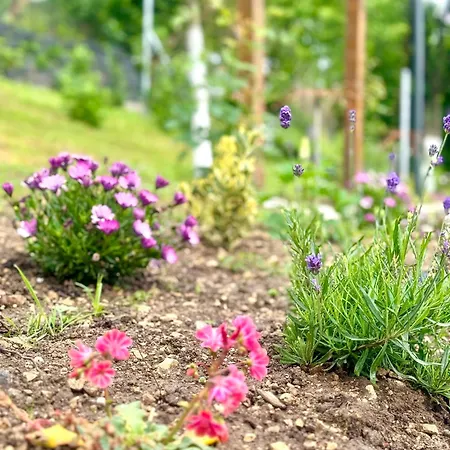 Apartamento Lara&sara Bihać